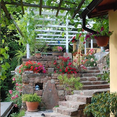 Am Berggarten Heidelberg Extérieur photo