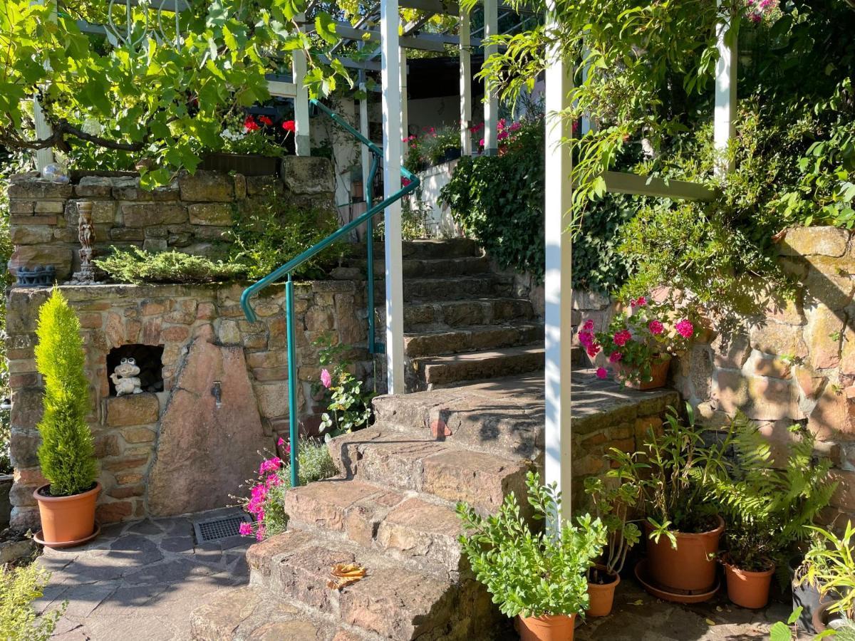 Am Berggarten Heidelberg Extérieur photo