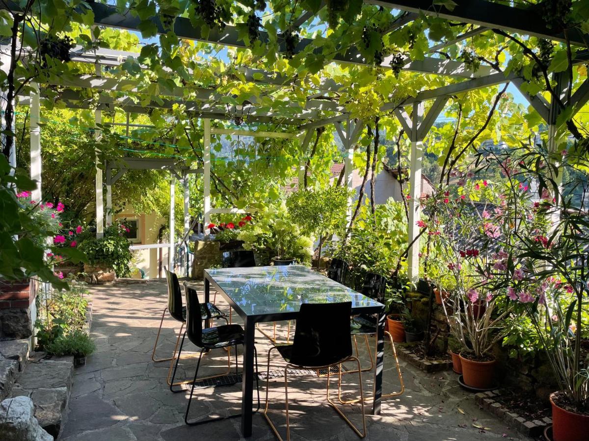 Am Berggarten Heidelberg Extérieur photo