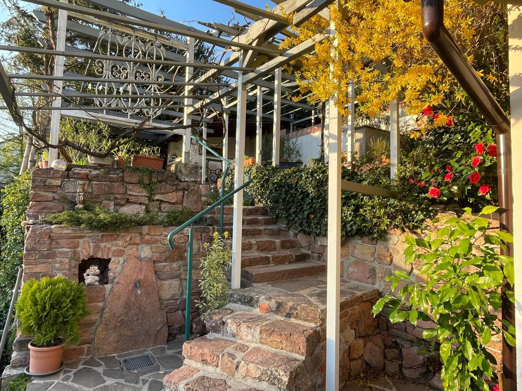 Am Berggarten Heidelberg Extérieur photo