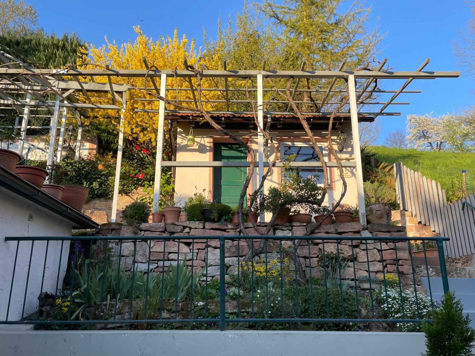 Am Berggarten Heidelberg Extérieur photo
