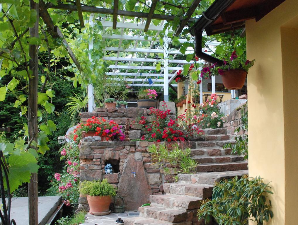 Am Berggarten Heidelberg Extérieur photo