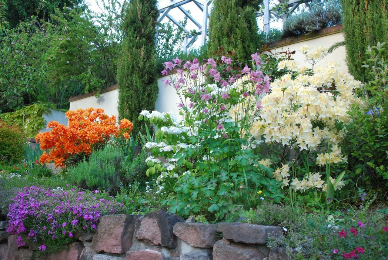 Am Berggarten Heidelberg Extérieur photo